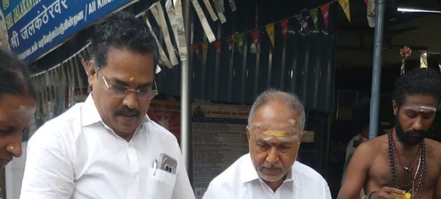 People offering fodder to a cow