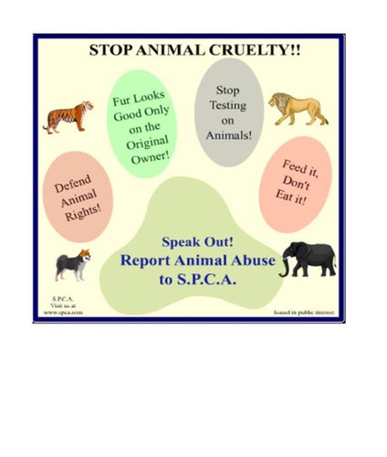 SPCA awareness poster encouraging people to report animal abuse
