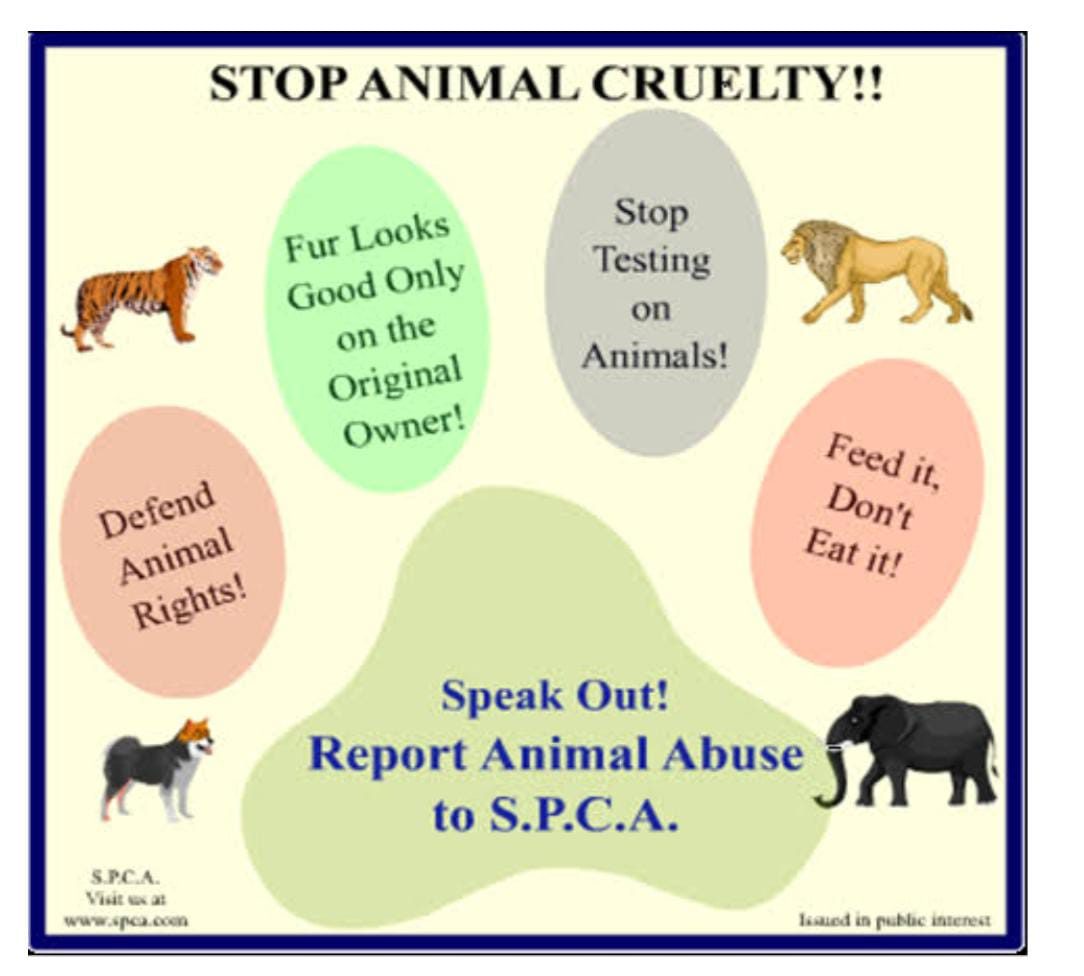 Stop animal cruelty