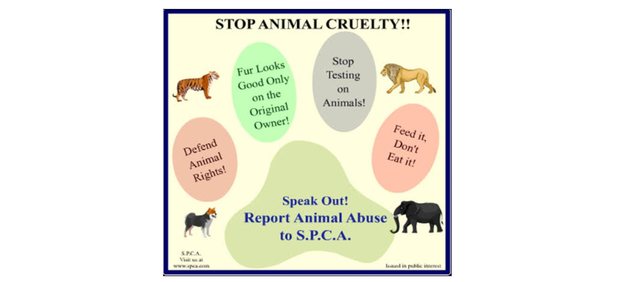 SPCA awareness poster: speak out and report animal abuse