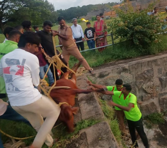 SPCA team and volunteers helping an animal in distress