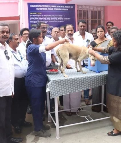 Animal Healthcare
